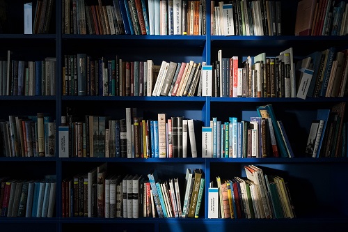 Literature search protocol