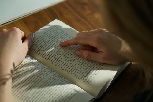 literature searching, literature searches, systematic reviews